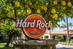 HARD ROCK HOTEL 250ML